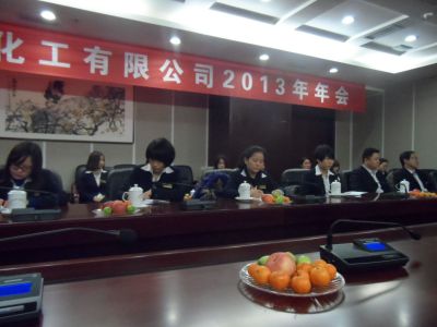 2013年公司年会